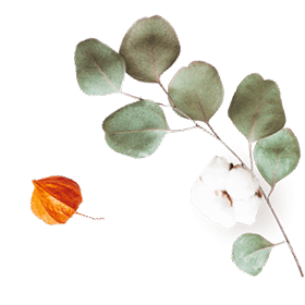 floating_image_07 https://gianni-xv.click/wp-content/uploads/2020/10/floating_image_07.png