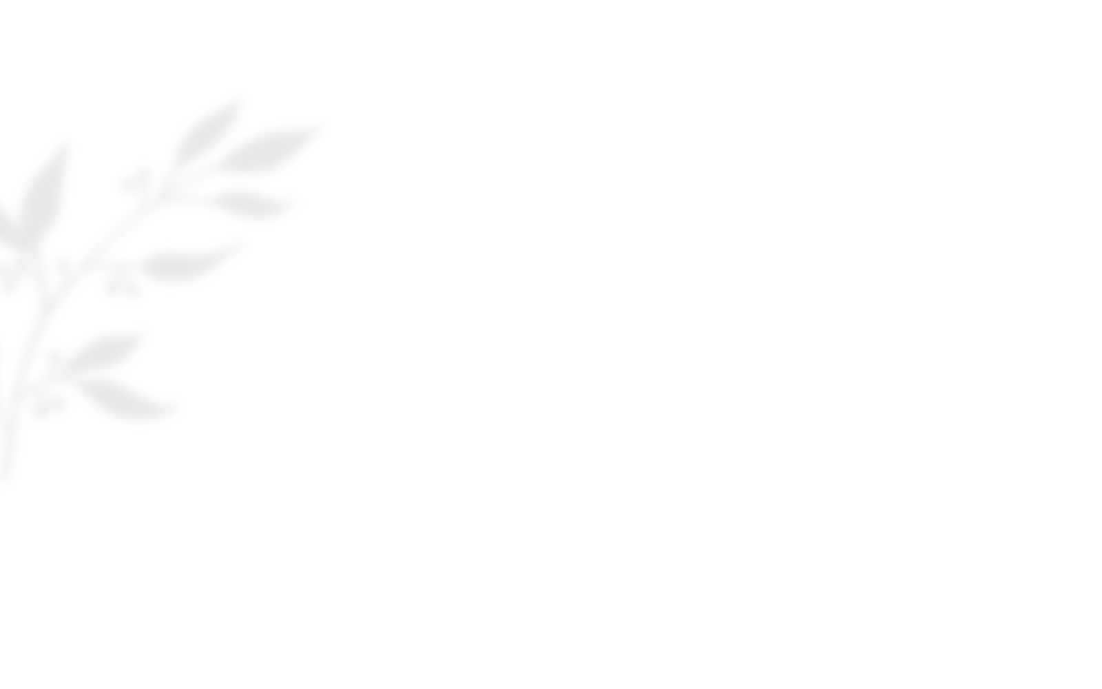 https://gianni-xv.click/wp-content/uploads/2020/10/shadow_leaves_03.png
