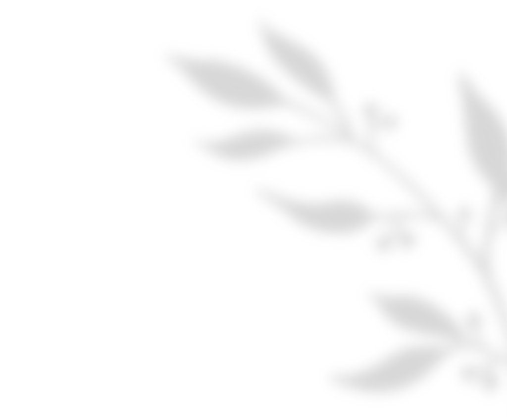 shadow_leaves_01 https://gianni-xv.click/wp-content/uploads/2020/11/shadow_leaves_01.png